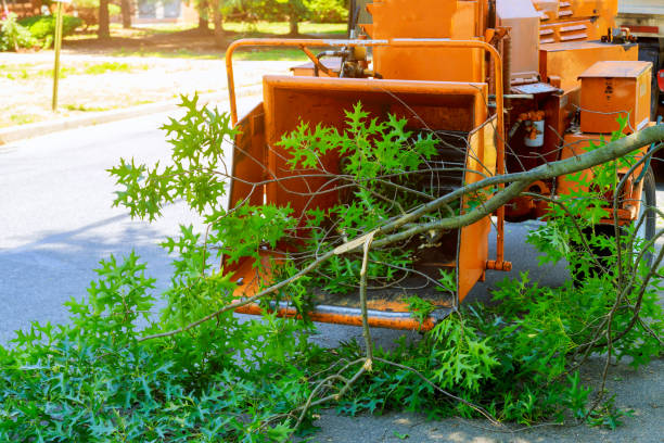 Lawn Watering Services in Leisure Village East, NJ